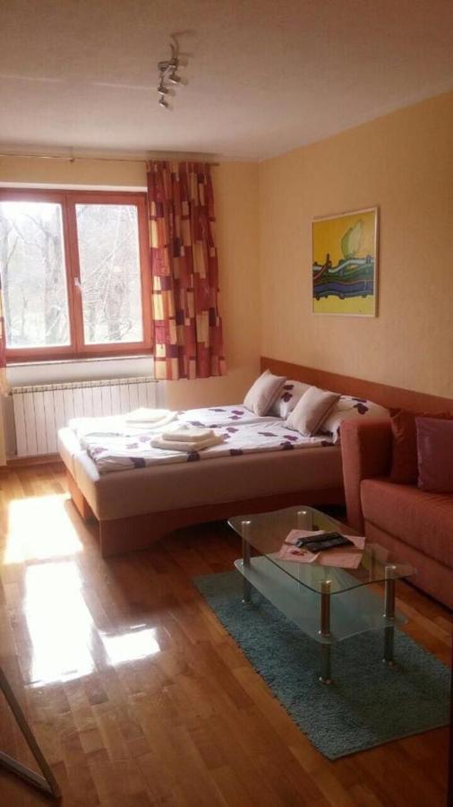 Gaby Apartment-Center Of Plitvička Jezera Eksteriør bilde